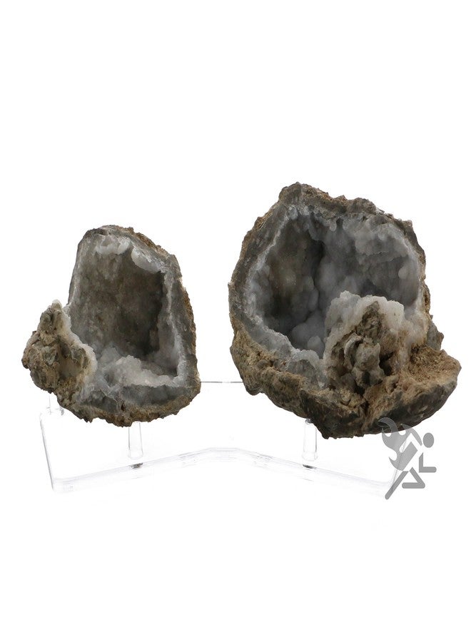 OnFireGuy 8" Paired 3-Peg Display Stand for Minerals Fossils and Geode Specimens, Qty: 1 - Image 2