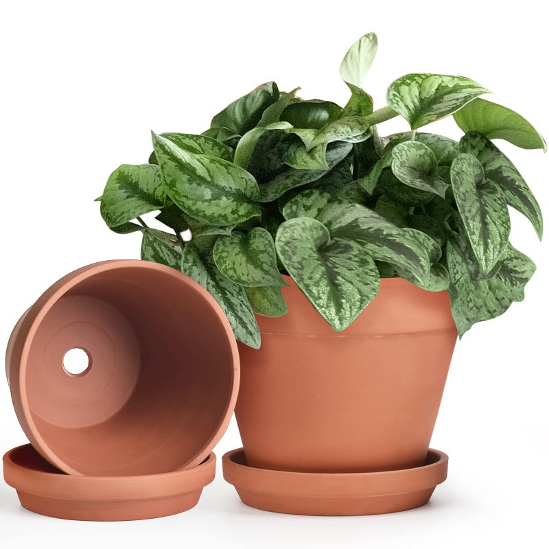 INGOFIN Terracotta Pots Set with Saucer - 2-Pack Ceramic Clay Planters with Drainage Hole, Garden Flower Succulent Pots with Tray for Indoor Outdoor Plants, 8 inch, Set of 2 - Image 1