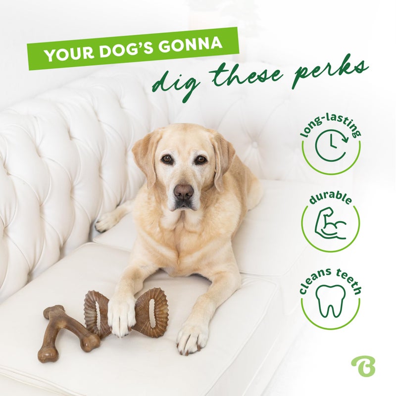 Benebone 2-pack Wishbone/Dental Durable Dog Chew Toys, Dog Toys for Aggressive Chewers, Real Bacon, Made in USA, Medium - Image 3