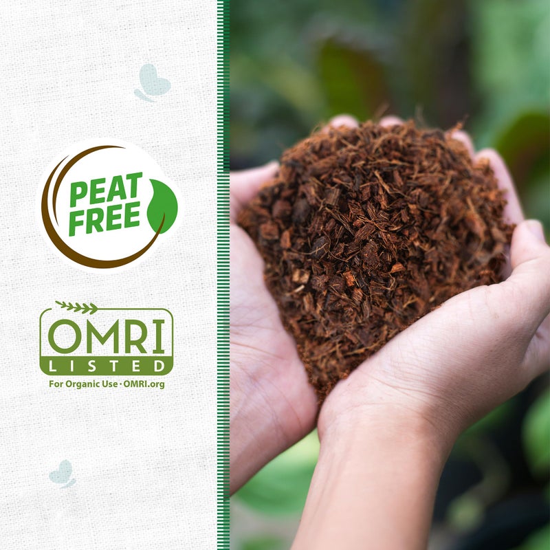 Back to the Roots 100% Organic Mulch, 58 Quart, Expanding Coconut Husk Block for Gardening - Image 2