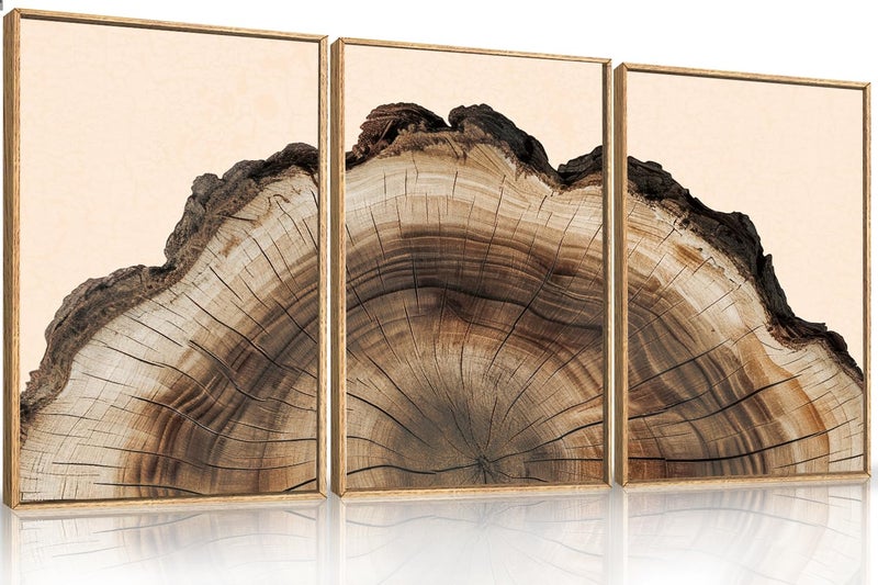 KAIRNE Framed Tree Ring Wall Art Set, Retro Wood Stump Wall Decor, Tree Spiral Wall Painting, Modern Nature Canvas Art Prints for Living Room, Bedroom, Dinning Room, Farmhouse - Large 24"x36"x3 - Image 1