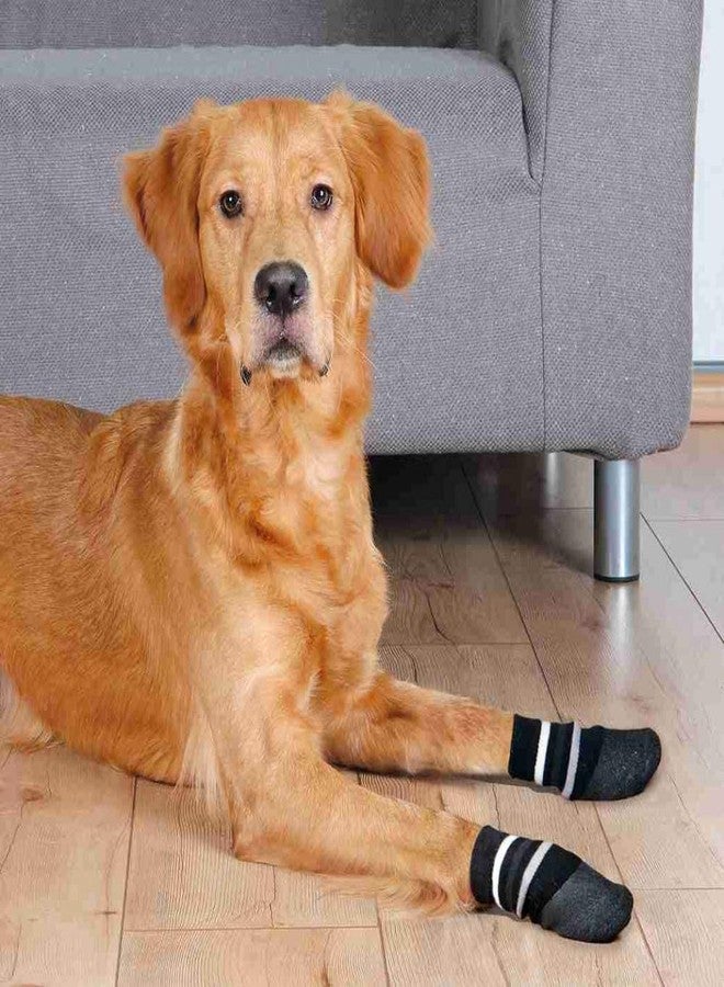 Trixie: - Dog Socks | Made with Cotton and Elasthane | Protect Your Pets from Small Wounds, Cold Floors and Dusty Furniture | Non-Slip with All-Round Rubber Coating - 2 Pcs L-XL, Black - Image 2