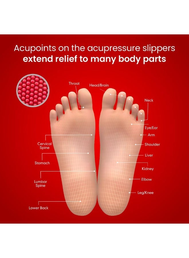 Dr. Ortho Dr.Ortho Orthopedic Slippers | Acupressure Slippers | Flip-Flops | For Men & Women's Slippers, Red - 8 UK - Image 4