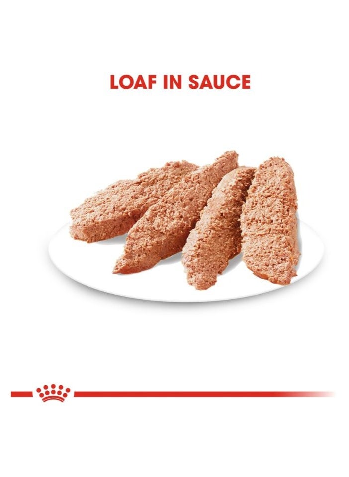 ROYAL CANIN Canine Care Nutrition Exigent (WET FOOD- Pouches) 12 x 85g - Image 2