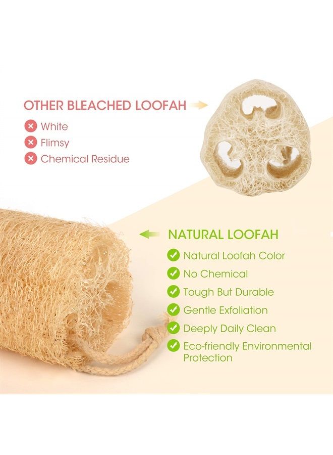 YEMTAL Natural Loofah Sponges Organic Luffa Bath Shower Sponge Exfoliating Body Back Scrubber for Men Women Adults SPA Beauty Bathing Daily Care - 4 PCS - Image 2