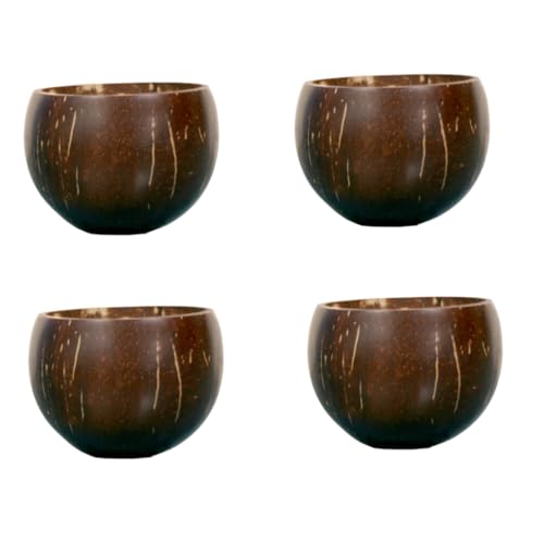 NAMAKA Pack of 4 Nos 250 to 300 ml Coconut Shell Bowls - Glossy & Polished, Flat-Bottomed for Stability, Eco-Friendly &Durable, Ideal for Ice Cream, Snacks, Soup, Hot & Cold Beverages. - Image 1