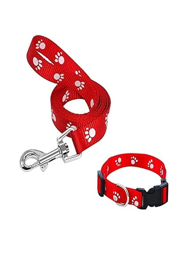 Pups&Pets طقم طوق ومقود بتصميم طبعة مخلب من النايلون قابل للتعديل 15 مم مع جرس للكلاب والقطط - (أحمر) - Image 1