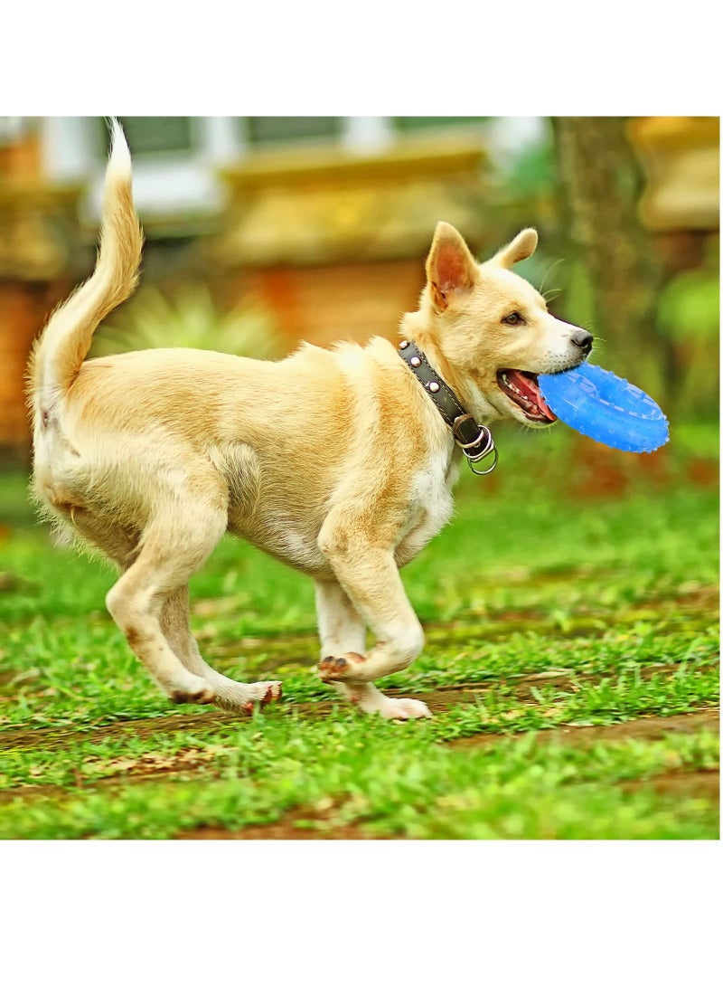 SYOSI Pet Teether Cooling Chew Toy 2 Pieces Teething Toy Freezable Dog Toys Dog Cooling Toys for Small Medium Dogs Fetch Food Relieve Dental Discomfort, 2 Types ,12 cm, 4.72 Inches, Ring  - Image 4