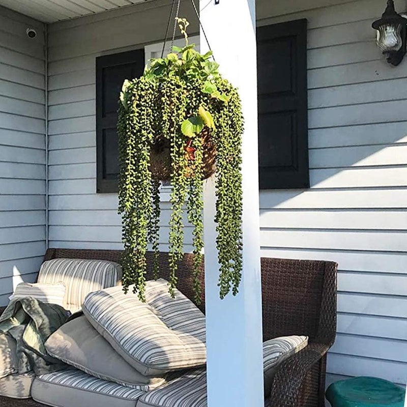 Antspirit 6pcs Artificial Fake String of Pearls Plant Faux Fake Hanging Succulents Plants (6, Green) - Image 2