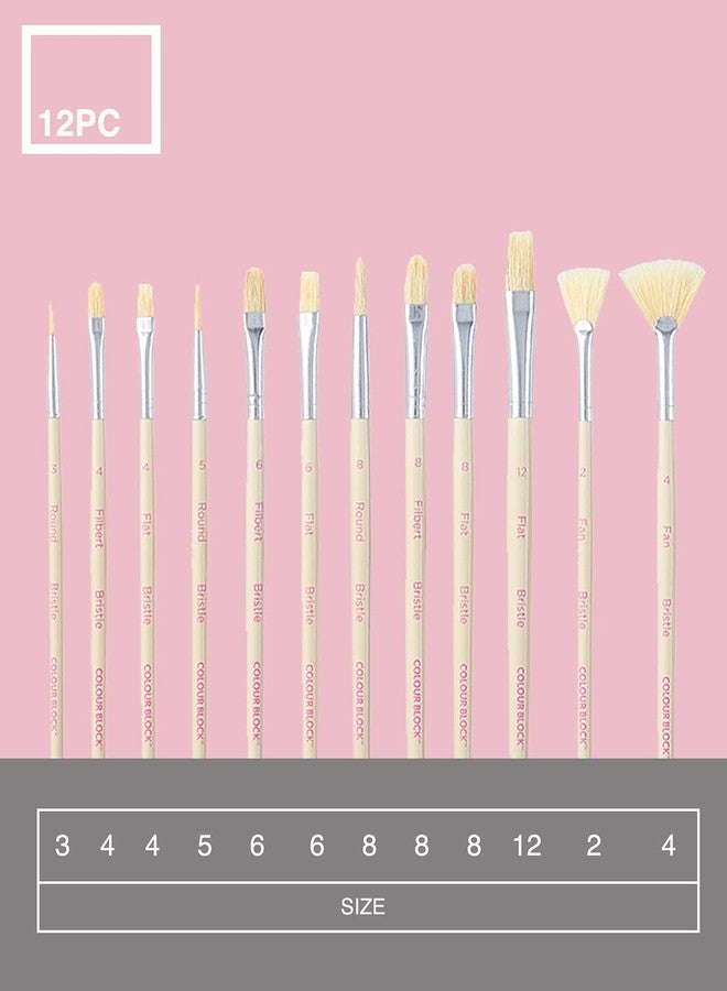 COLOUR BLOCK 12 Pack All Purpose Synthetic Brushes-Bristle Essentials for Watercolor Paint, Oil Paint Set, Kids School Supplies Detail Paint Brush Set for All Levels of Experience - Image 3