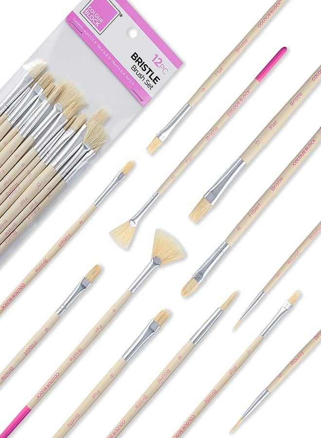 COLOUR BLOCK 12 Pack All Purpose Synthetic Brushes-Bristle Essentials for Watercolor Paint, Oil Paint Set, Kids School Supplies Detail Paint Brush Set for All Levels of Experience - Image 1