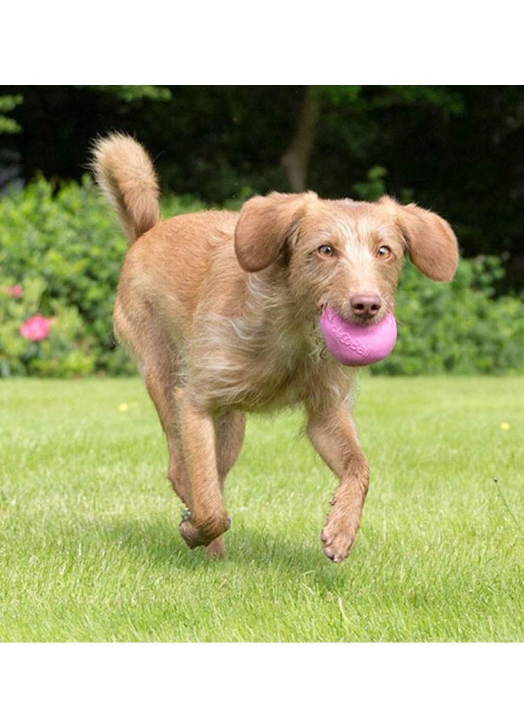 Beco Pets Beco Eco Friendly Natural Rubber Ball Hollow Dog Chew Treat Dispensing Toy Pink XL - Image 3