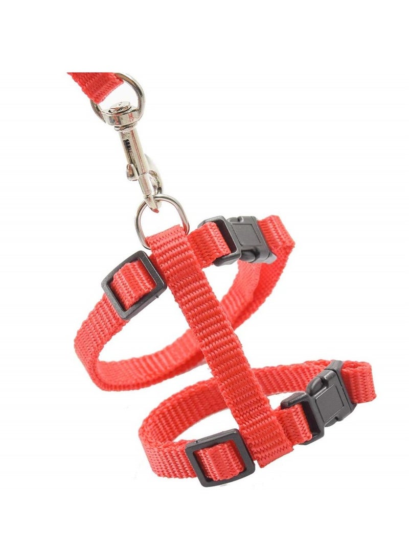 كول بيبي ستايل أحزمة وأحزمة أمان للقطط باللون الأحمر - Image 1