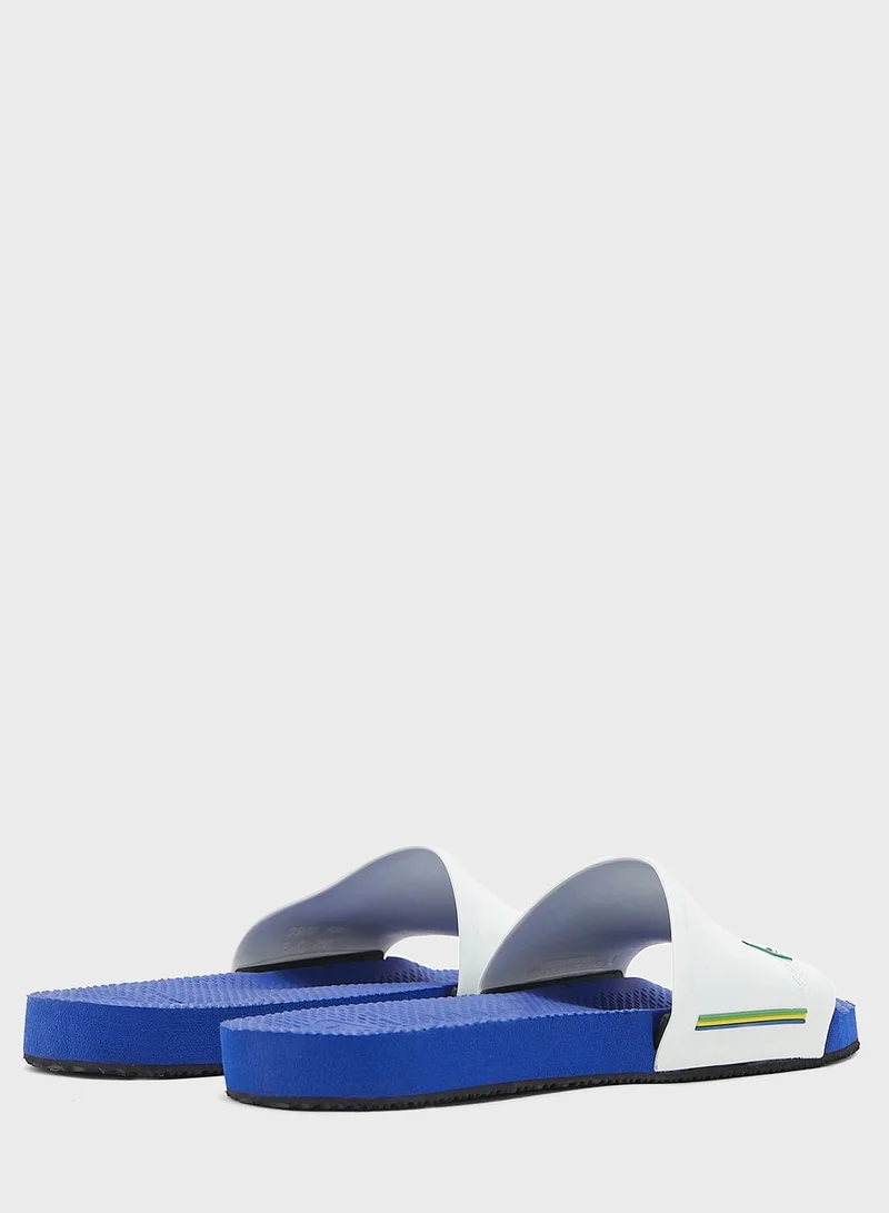 havaianas Logo Slides