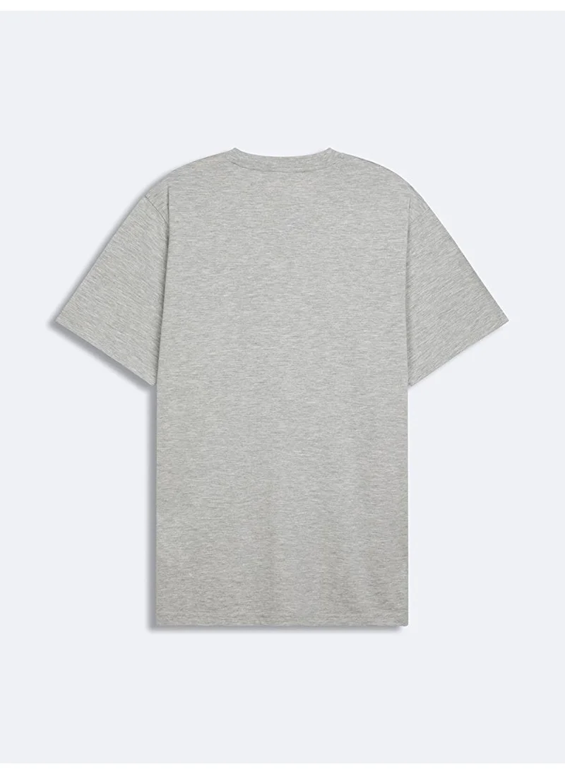 LTB Gray T-Shirt