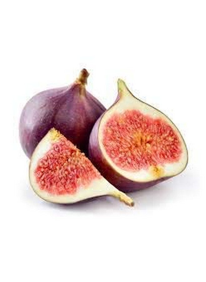 Saara مسحوق ثمار الأثي الطازجة من سارة، 200 جرام، مسحوق التين، فاكهة التين، فيكوس كاريكا، أثي تشاكا، مسحوق أنجير باندو، (عبوة من 2 × 100 جرام) - Image 4