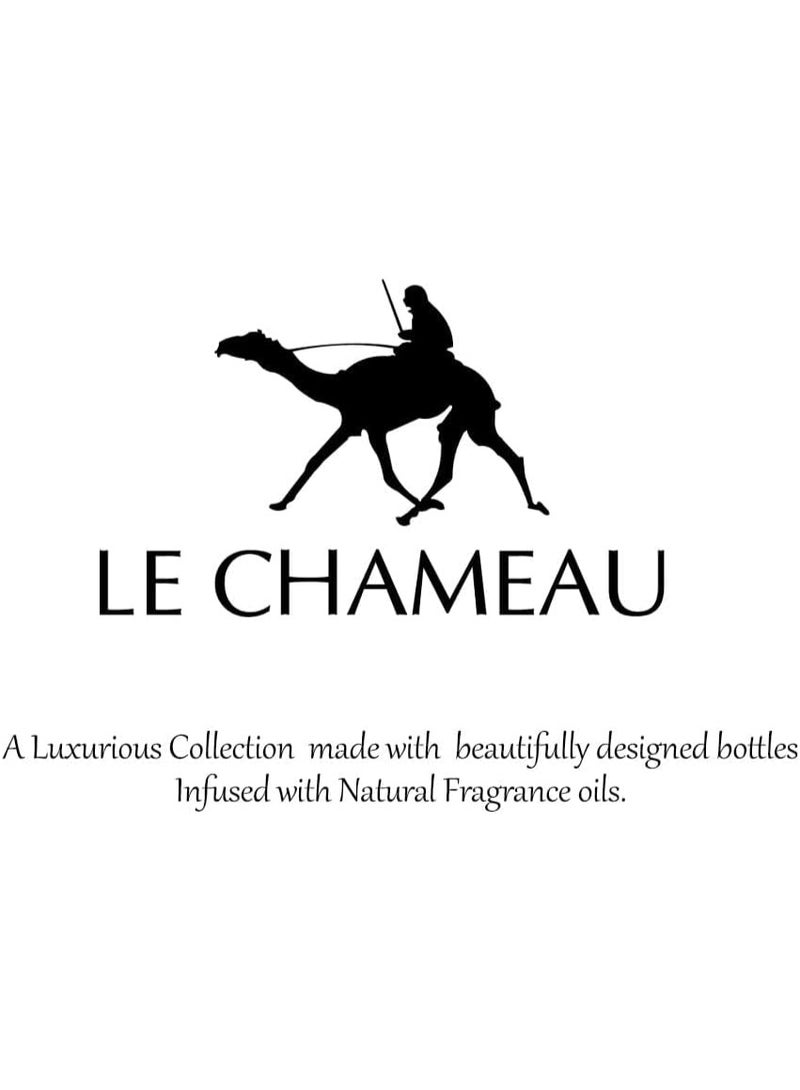 LE CHAMEAU Espada Prime - For Women EDP - 100ml - Image 5