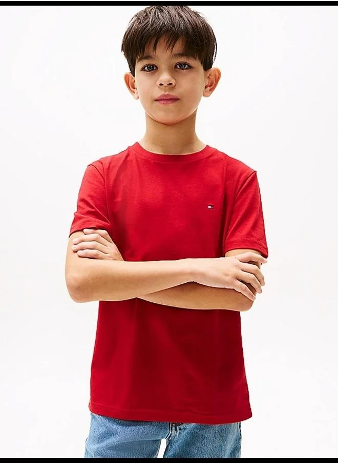 تومي هيلفيغر Kids 2 Pack Crew Neck T-Shirt