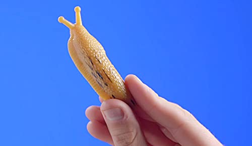 Play Visions Club Earth Banana Slugfest Novelty - Image 3