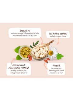 Babo Botanicals Defining Baobab & Rosehip Conditioner For Extra Dry Curly Hair Smooth & Define Citrus & Cedarwood Fragrance Waterresistant Carton W. 80% Less Plastic Vegan  - Image 5