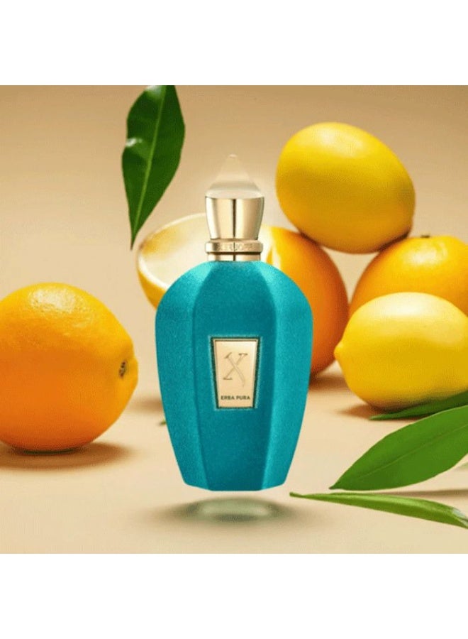 Xerjoff Erba Pura EDP 100ml - Image 3