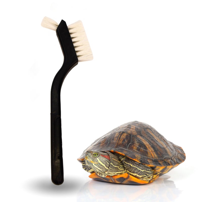 Turtle Cleaning Brush Remove Aquatic Mud Dirt Contaminants from Tortoises Shells Promoting Shell Health Goat Hair Bristle Brush with Grip Rubber Handle Black by Snout and Shell