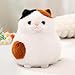 PEACH CAT Fat Calico Cat Plush Cute Kitten Stuffed Animal Soft Plushies Toy Pillow Gifts for Kids White 79 - Image 2
