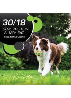Iams Iams Proactive Health Adult Active Dry Dog Food with Chicken and Turkey, 6 lb. Bag  - Image 2