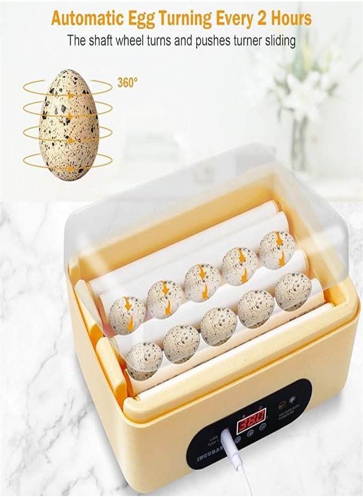 6 USB fully automatic incubator small incubator educational enlightenment incubator chicken, duck, pigeon, quail egg incubator - pzsku/Z110E3082AA4F39DFB190Z/45/_/1719280856/2bd5a981-4214-4020-86ec-0f919e14206e