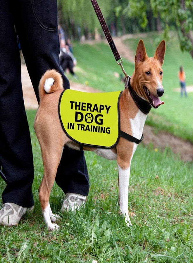 Zuo Bao Therapy Dog Jacket Vest for Large Dogs (Therapy Dog in Training-Large) - Image 3