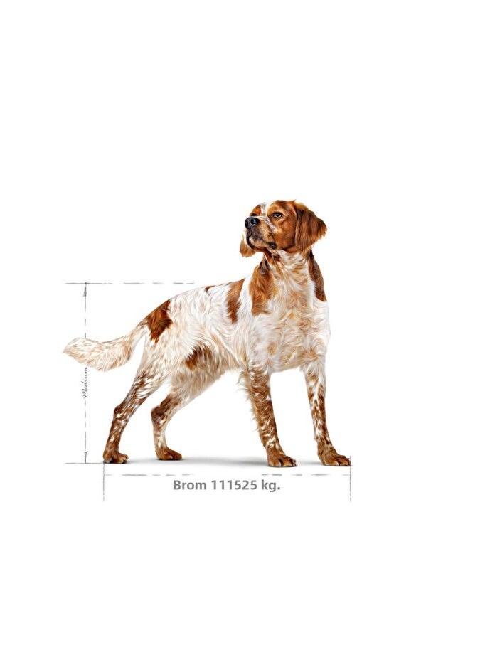 رويال كانين طعام جاف للكلاب البالغة متوسطة الحجم من رويال كانين، 4 كجم - Image 4