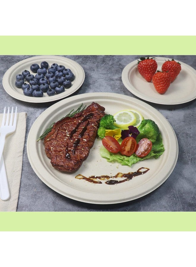 GreenWorks 7 inch and 9 inch Compostable Plates (each 50 Count), 100 Count Unbleached Disposable Paper Plates - Image 3