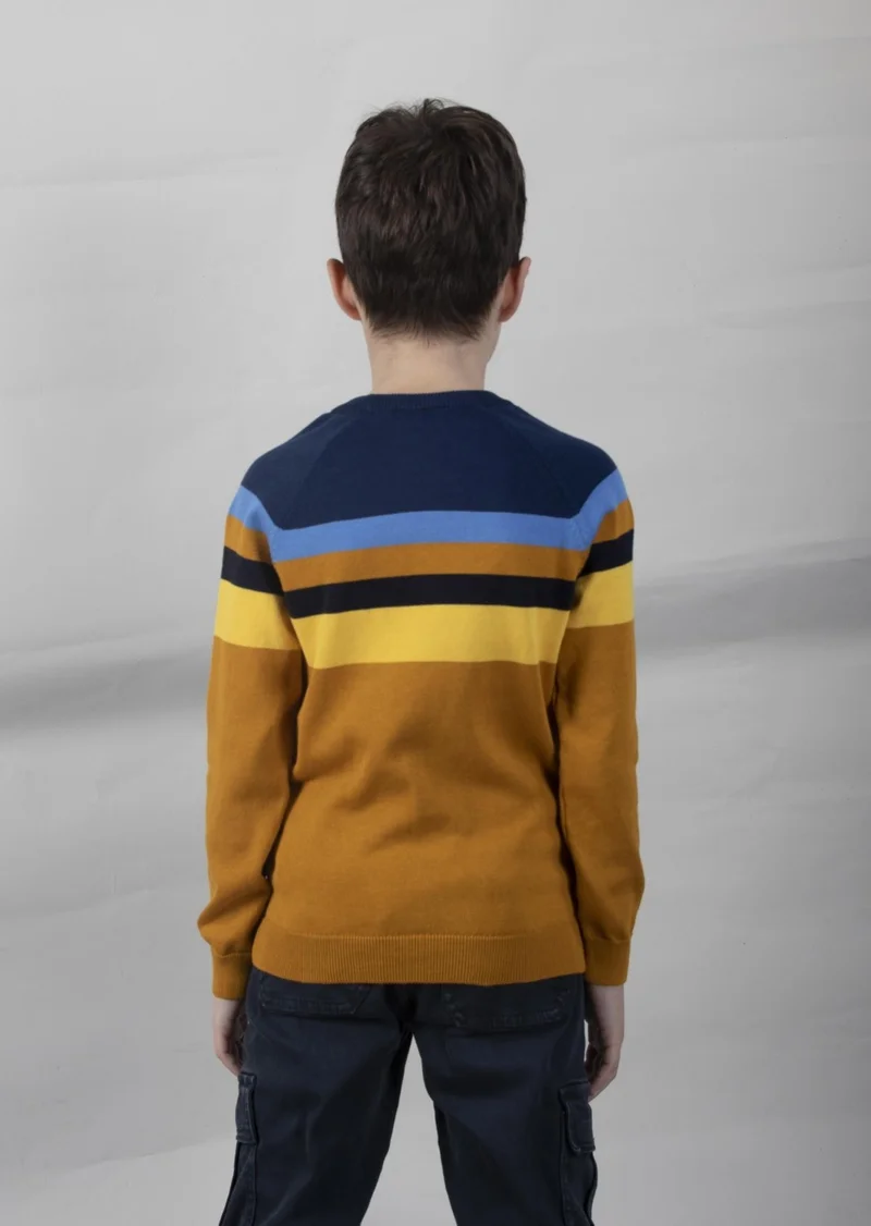 الكسندر جاردي Colour Block Cotton Kids Sweater (C23-7106)