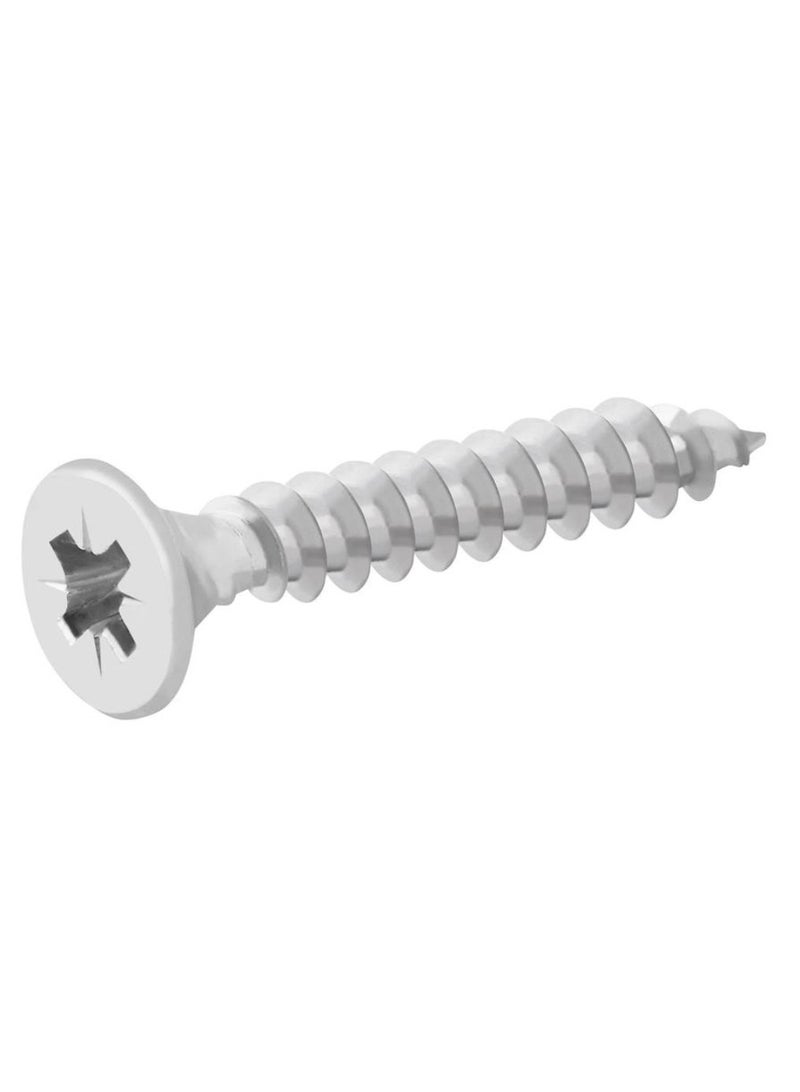 ACE Stainless Steel Screw Pack 2cm 200pcs