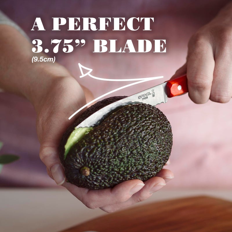 OPINEL Essential No.113 Serrated Paring Knife, Hornbeam Handles, Made in France (Natural) - Image 3