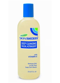 Skin Success Deep Cleansing Facial Astringent - 8.5 Oz