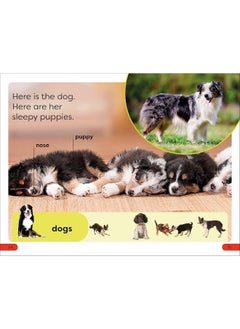 DK Super Readers Pre-Level Farm Animals  - Image 5