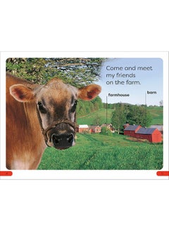 DK Super Readers Pre-Level Farm Animals  - Image 4