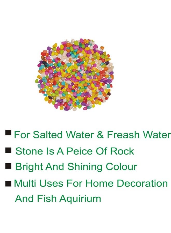 1st Time Dcor Pebbles/Stone for Fish Aquarium, Garden, Plant Vase, Multicolor, WT. 450 gm- S107 - Image 3