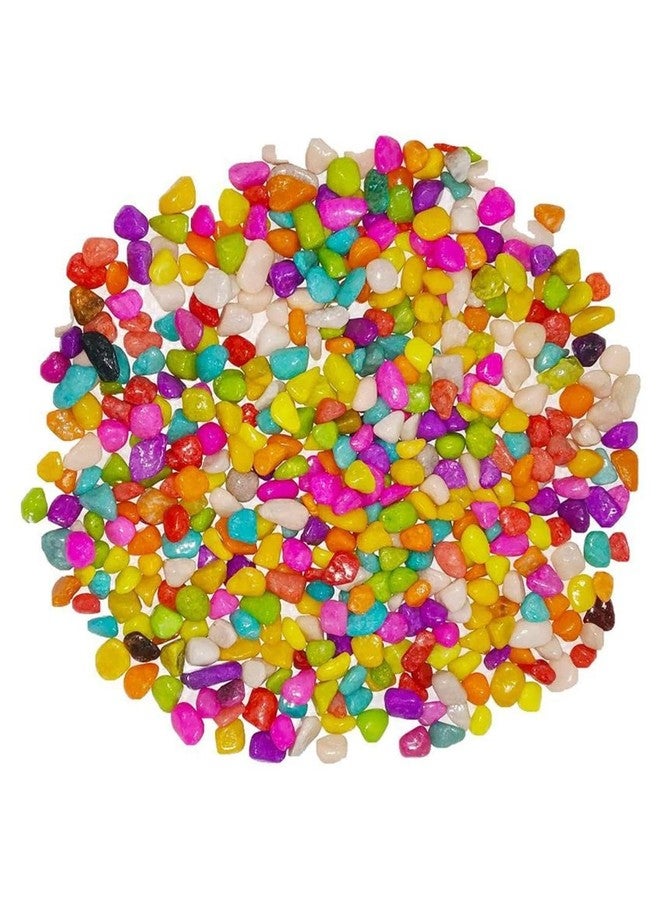 1st Time Dcor Pebbles/Stone for Fish Aquarium, Garden, Plant Vase, Multicolor, WT. 450 gm- S107 - Image 1
