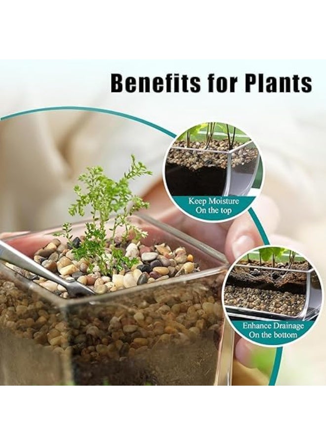 Natural Colorful and Charming Stones Smooth & Polished Decorative Pebbles for Aquarium Garden Landscaping Plants and Home Decor (Small - 1kg) - Image 4