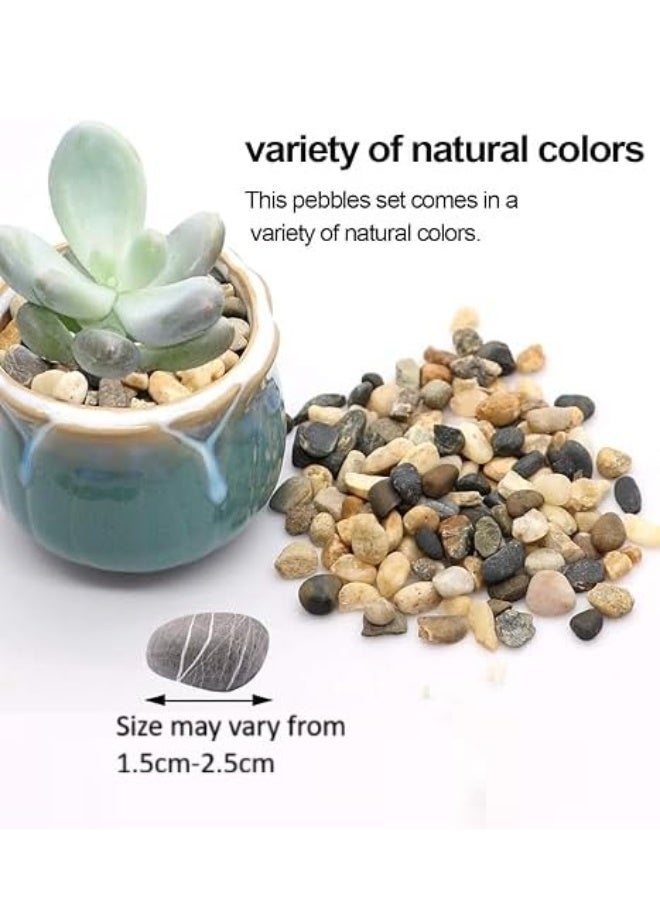 Natural Colorful and Charming Stones Smooth & Polished Decorative Pebbles for Aquarium Garden Landscaping Plants and Home Decor (Small - 1kg) - Image 2