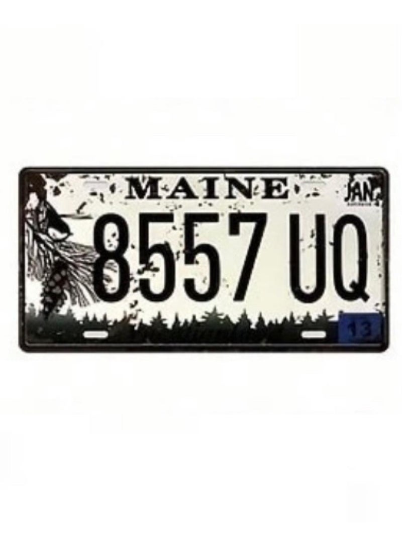 Generic Classic design car metal license plate for decoration  - Image 1