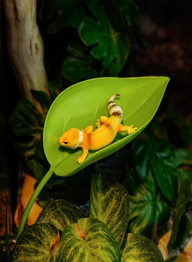 Drunmist Crested Gecko Tank Accessories, Hanging Plants, Reptile Hide Caves Simulation Tree Hideout, Cork Climbing Stick Reptiles,Feeding Ledge, Snakes, Hermit Crab, Leopard Gecko - Image 4