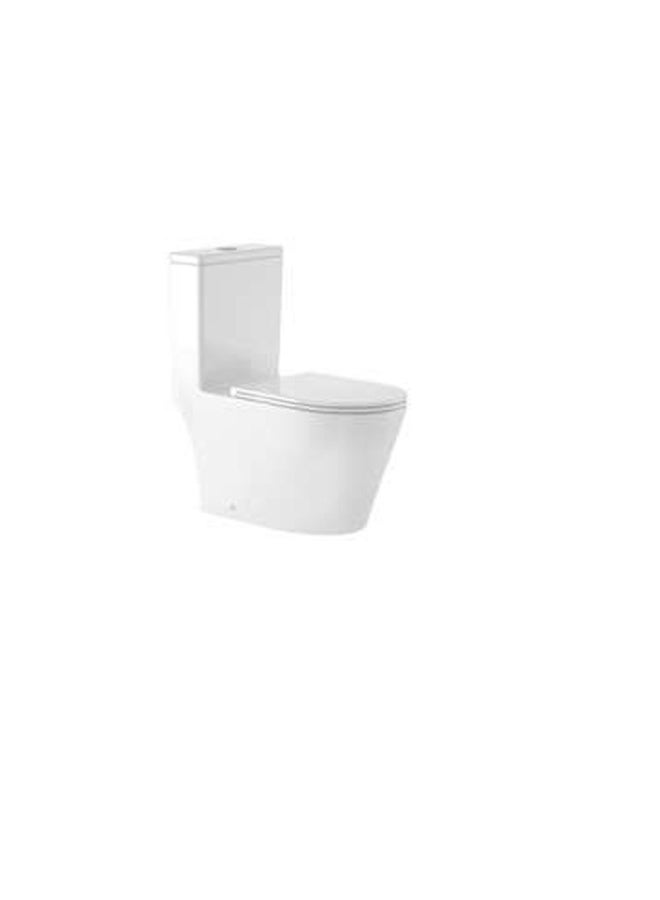 DANUBE HOME Milano Rimless Pro Wc Model.80673 S-Trap 250Mm White With Pp Seat Cover- Made In China - Image 1