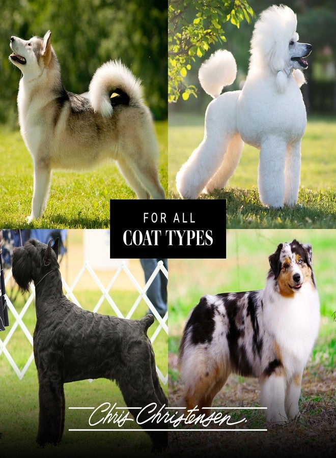 Chris Christensen Spectrum Ten Dog Shampoo, Groom Like a Professional, Gentle Cleansing, Gorgeous Shine, Made in USA, 3.8L - Image 5