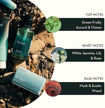 Scottish Fine Soaps Sea Kelp Body Cream 200ml Nourishing Body Cream with Hyaluronic Acid and Shea Butter - Image 3