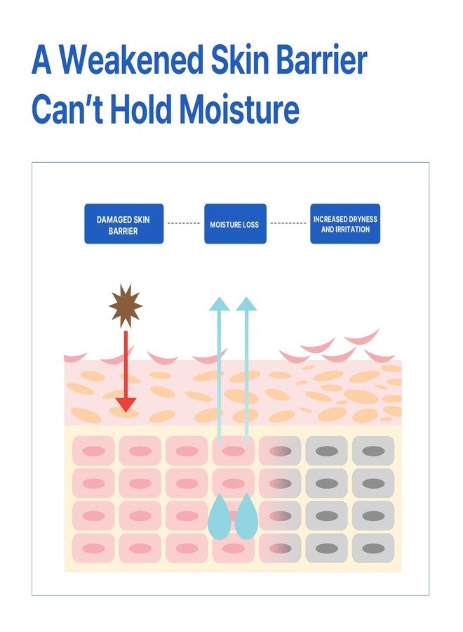 AVCA Aqua Barrier Low Molecular Hyaluronic Acid Ultra Hydrating Facial Cream 6.76 oz - Image 5