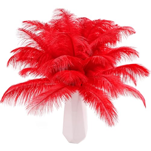 THARAHT 24pcs Red Ostrich Feathers Natural Bulk 810Inch 20cm25cm for Wedding Party Centerpieces Easter Gatsby and Home Decorate Ostrich Feathers