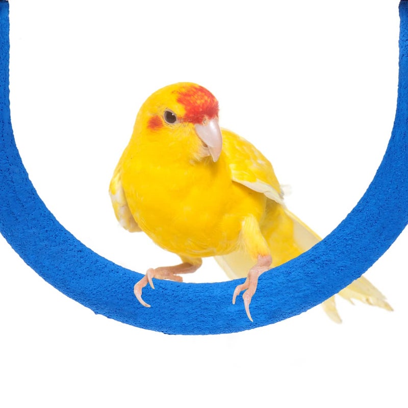 U Shaped Bird Climbing Stand Blue Color Easy Install Pet Training Activity For Parrots - Image 4
